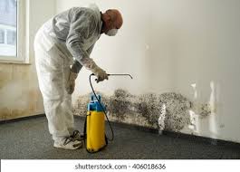 Professional Mold Removal in Marshfield, MO